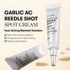 VT Cosmetics Garlic AC Reedle Shot Spot Cream