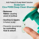 Lilyeve SCALP: Turn Cica PDRN Deep Clean Shampoo