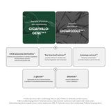 Serums-būsteris ar mikroadatām jutīgai ādai VT Cosmetics Pro Cica Reedle Shot 100